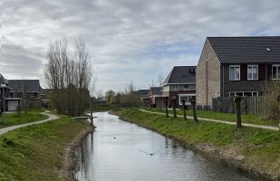 Bomen voor schaduw